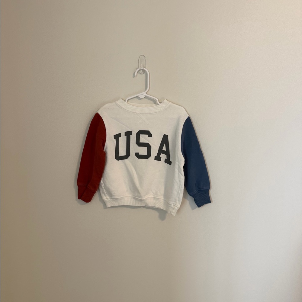 USA Sweatshirt with Red and Blue Sleeves